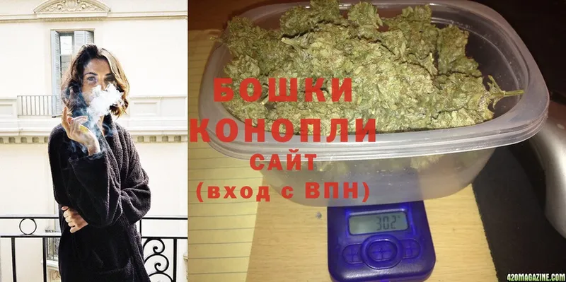 купить  цена  MEGA ТОР  Канабис White Widow  Партизанск 